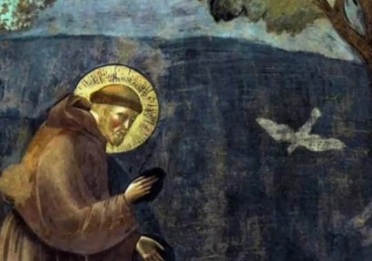Rückblick: Franz von Assisi